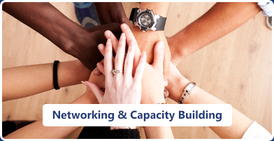 bss-network and capacity building Quality Education